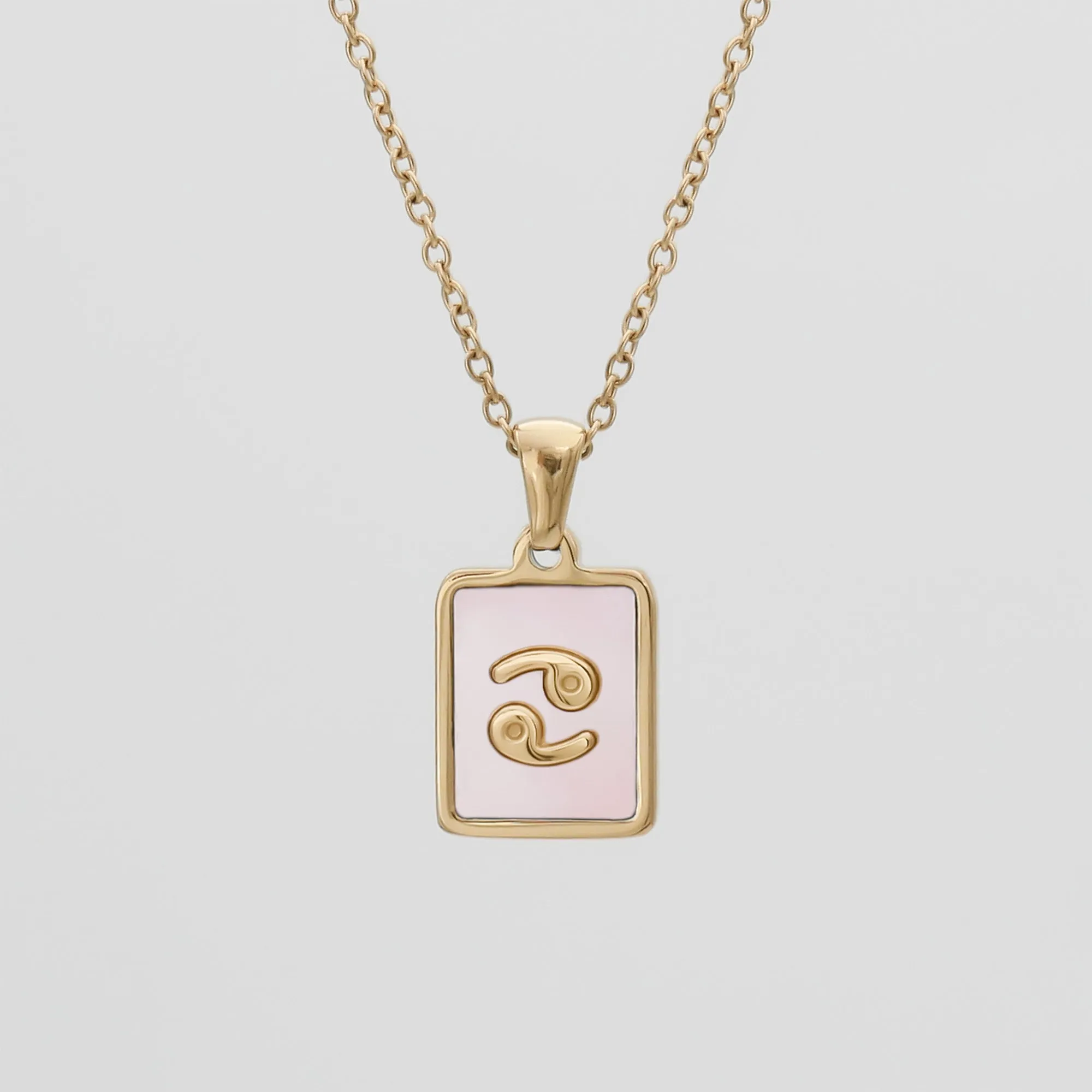 Pink Zodiac Symbol Necklace